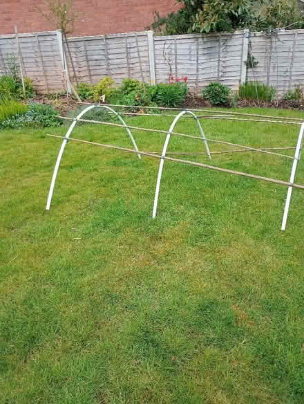 Photo of free Cloche framework (Ludlow SY8) #3