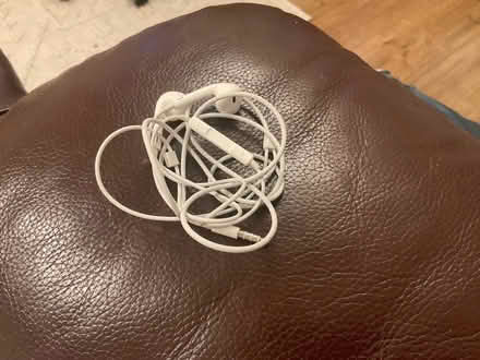 Photo of free Apple Headphones (Shinfield RG2) #1