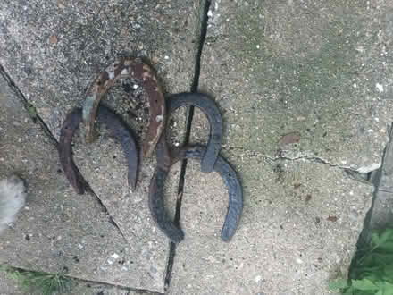 Photo of free 4 Metal Horse Shoes (CT15) #2
