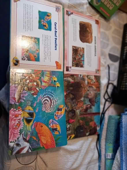 Photo of free 2 jigsaw books (Littlemore OX4) #2