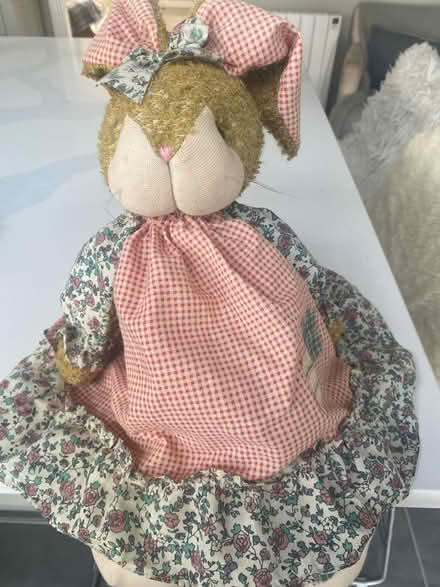 Photo of free Bunny (Forest green) #1