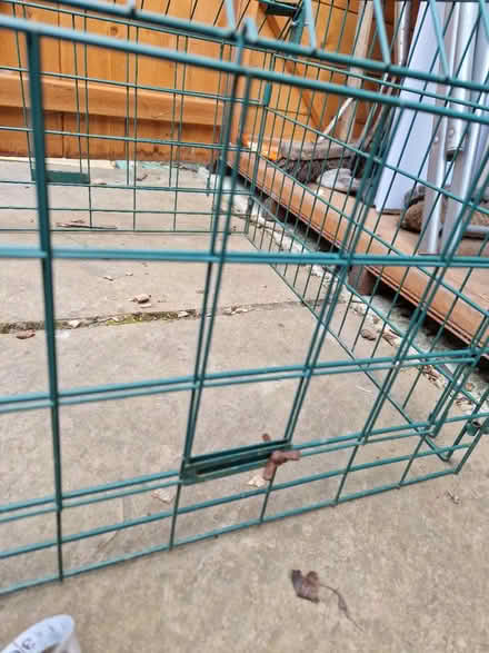 Photo of free Ground feeder protection (Broxbourne EN10) #2