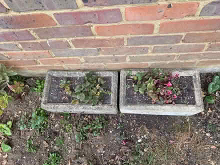 Photo of free 3 x concrete planters (Bernards Heath AL1) #4