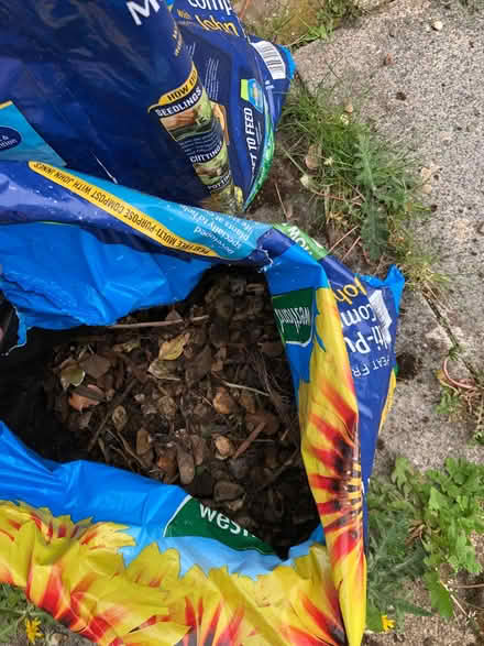 Photo of free Ornamental stones collection from Halton (Halton LA2) #1