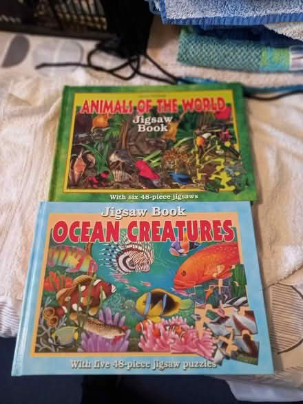 Photo of free 2 jigsaw books (Littlemore OX4) #1