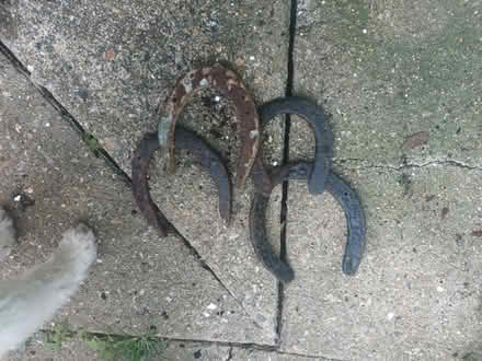 Photo of free 4 Metal Horse Shoes (CT15) #1