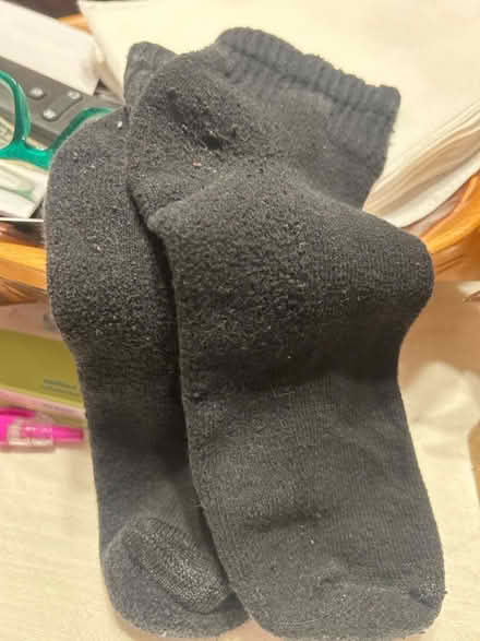 Photo of free Women's Black ankle socks (North Cheektowaga) #1