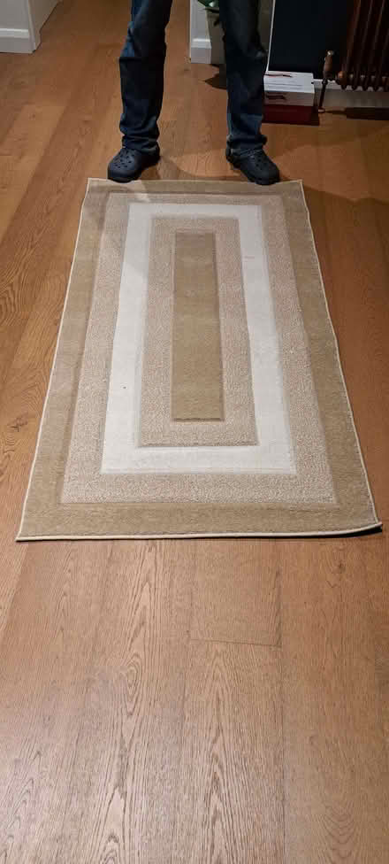Photo of free Brand new rug (Benfield Valley BN41) #1