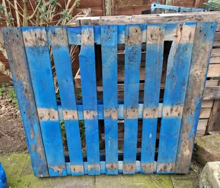 Photo of free Blue stained wooden pallet (Kirkby Thore CA10) #1