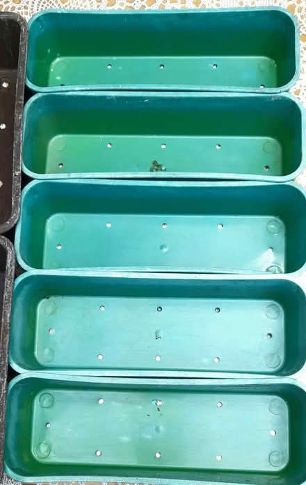 Photo of free Sturdy plastic seed trays (Thorpe St Andrew NR7) #2