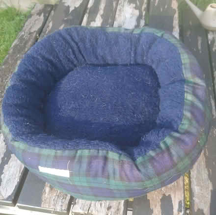 Photo of free Dog / Cat bed. (Hollingbury BN1) #1