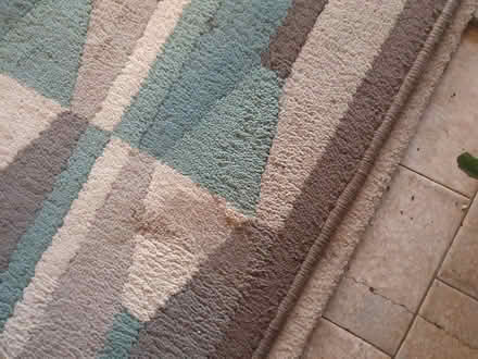 Photo of free Ikea rug (Gosforth ne3) #1