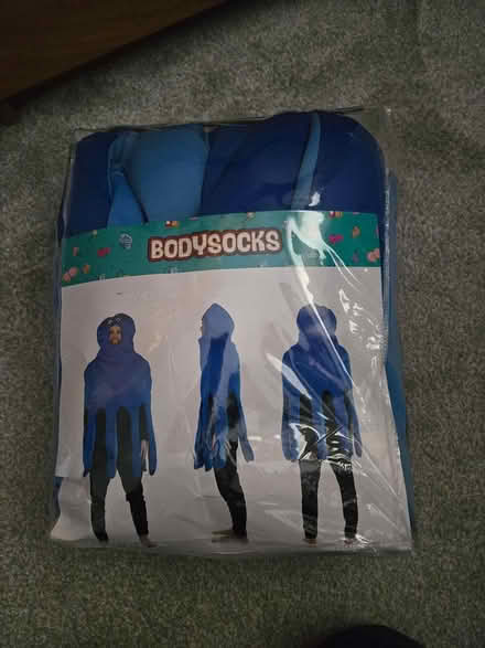 Photo of free Octopus costume (Reigate, RH2 9) #1