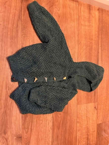 Photo of free Hand knit Dino hoodie age 2-3 (Billericay CM12 Queens Park) #1
