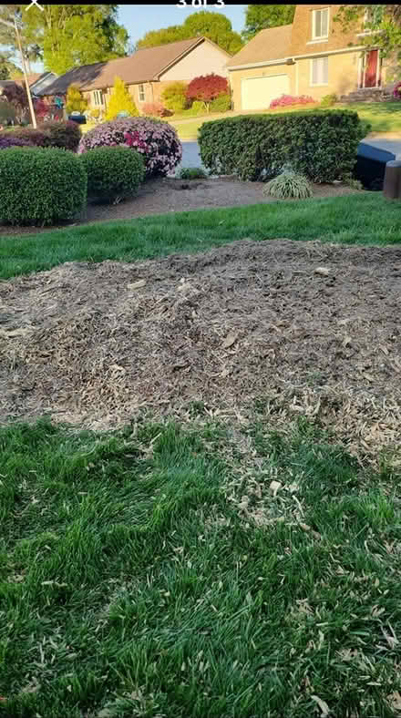 Photo of free Wood chips/mulch from white pine (Edwin & Southern Pines, VB) #1