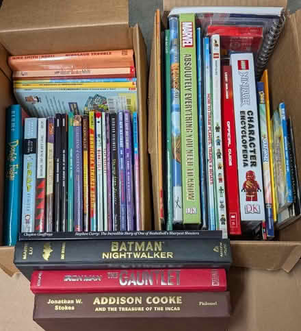 Photo of free Two boxes of kids/youth books (Santa Clara near Great America) #1