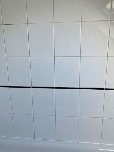 Photo of free Ceramic bathroom wall tiles (Grandpont OX1) #1