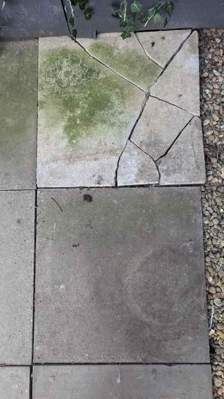 Photo of Concrete slab 60x60cm (SY11) #1