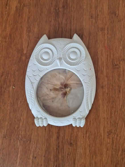 Photo of free Owl picture frame (Woodham, Woking) #1