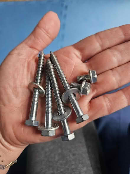 Photo of free Screws (N8 Wood Green) #1