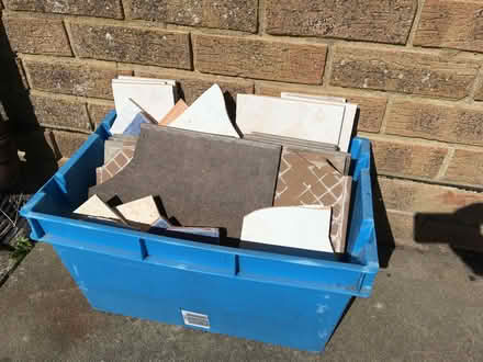 Photo of free Hardcore (West Marina TN38) #1