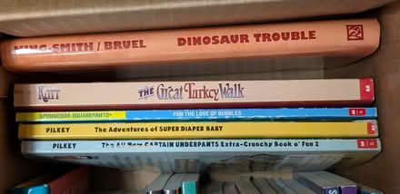 Photo of free Two boxes of kids/youth books (Santa Clara near Great America) #3