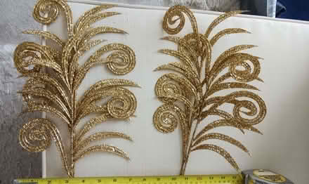 Photo of free Gold Glitter Ferns. (Berrow TA8) #2