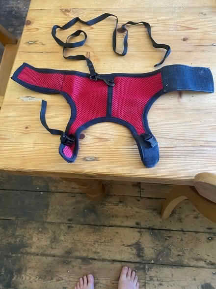 Photo of free Small pet harness (Emmer Green RG4) #1