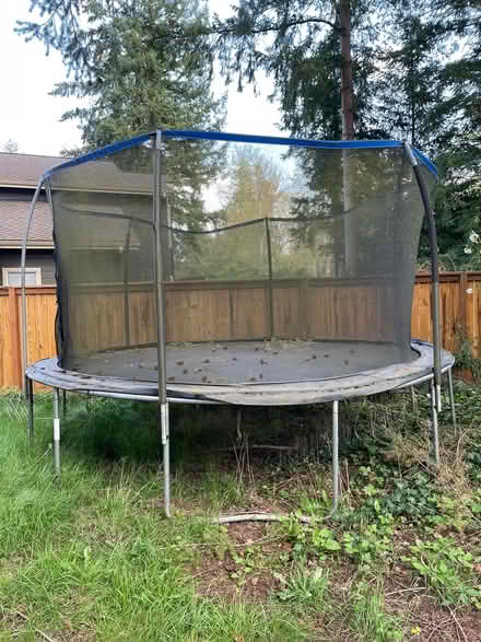 Photo of free Outdoor Trampoline (Sammamish (Klahanie)) #1