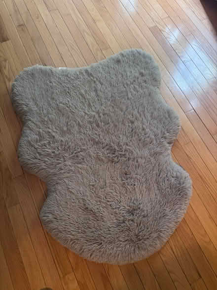 Photo of free Cat/dog Bed (23060) #1