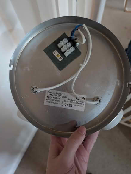 Photo of free Ceiling light (Princes park, BN22) #3