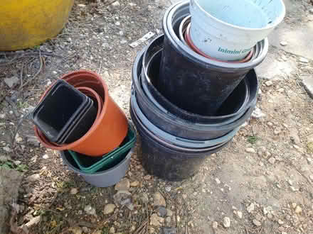 Photo of free Plastic plant pots (South Ealing) #1