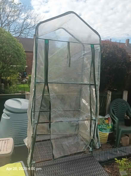 Photo of free mini greenhouse (Normanton Derby) #1