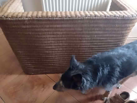 Photo of free Willow table (Mousehold NR3) #1