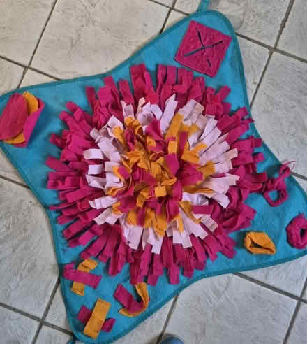 Photo of free Dog snuffle mat (N17 the roundway) #1