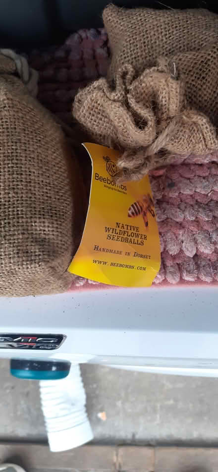 Photo of free Two packets of wild flower seeds (Livingston EH54) #1