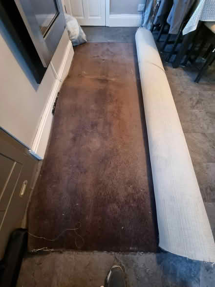 Photo of free Brown carpet (Penistone S36) #1
