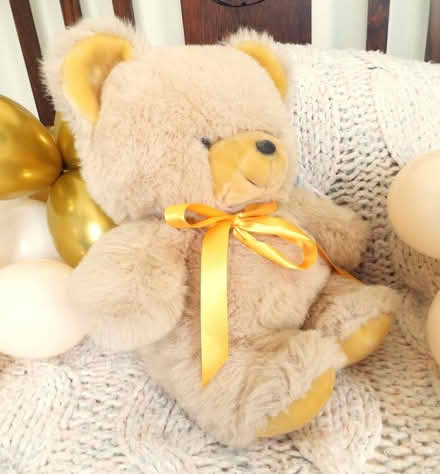 Photo of free Large vintage teddy bear Lovely, clean, fluffy condition (Bingham NG13) #3