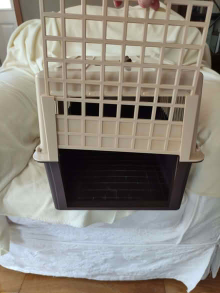 Photo of free Cat Carrier (St Just TR19) #2
