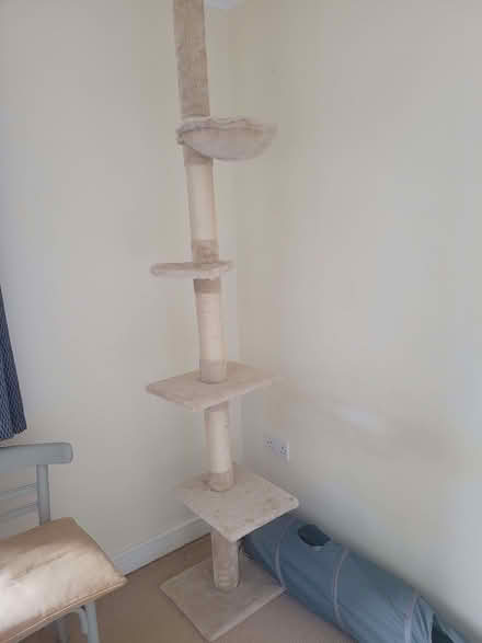 Photo of free Tall scratching post for cats (Whitminster GL2) #1