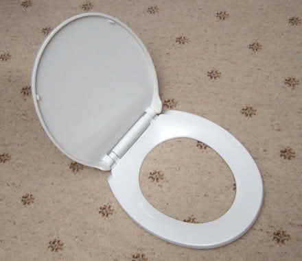 Photo of free Toilet seat (Belper DE56) #1