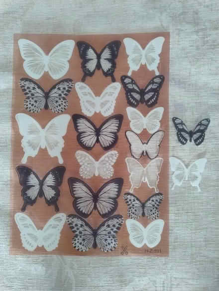 Photo of free Butterflies for crafting (Walderslade Bottom ME5) #1