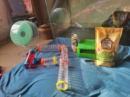 Photo of free Large Hamster Supplies + fish tank (Near Downtown Ypsilanti) #1