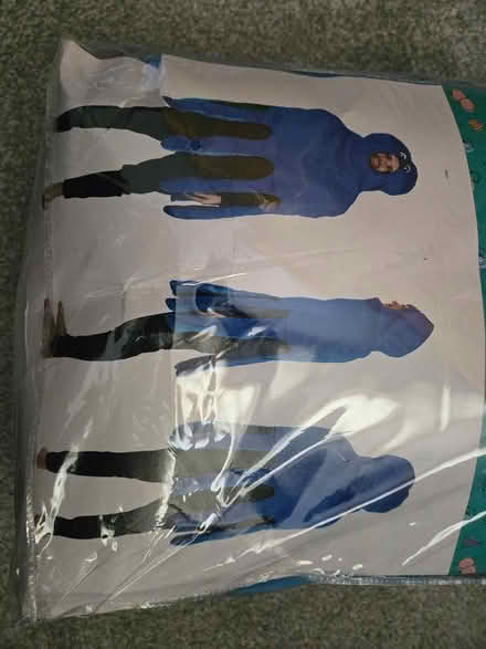 Photo of free Octopus costume (Reigate, RH2 9) #2