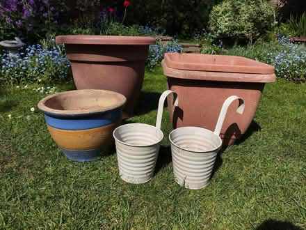 Photo of free Various Plant Pots (Great Notley, CM77) #1