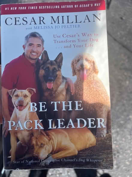 Photo of free Dog training book (North Brampton) #1