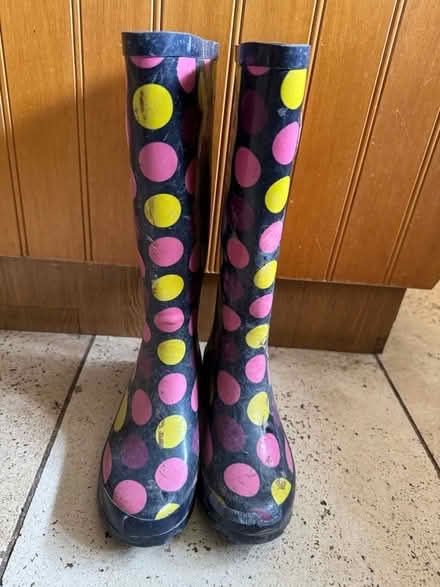 Photo of free Wellington boots, size 4 (Oxshott KT22) #1