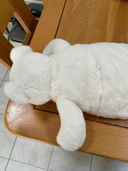 Photo of free Hot Water Bottle (Waverton CH3) #3