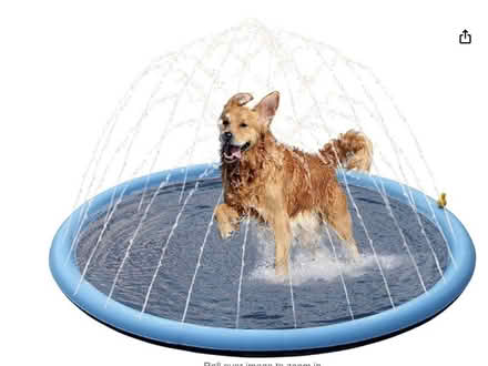 Photo of free Dog Sprinkler Pad (Waverton CH3) #1