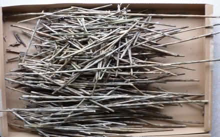 Photo of free Some sticks (Newbury RG14) #1